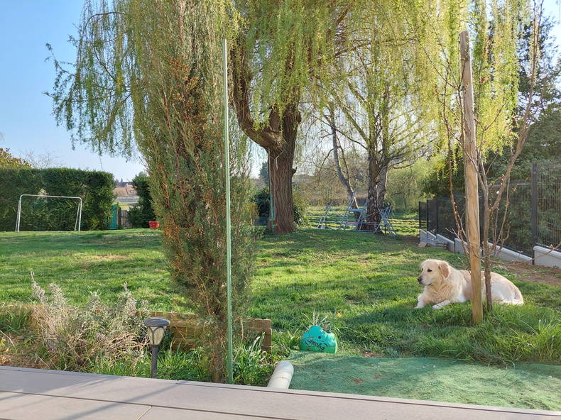 Colocación Cerny 259710-3