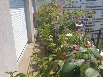 Chambre Chez L'habitant Paris 253403-14