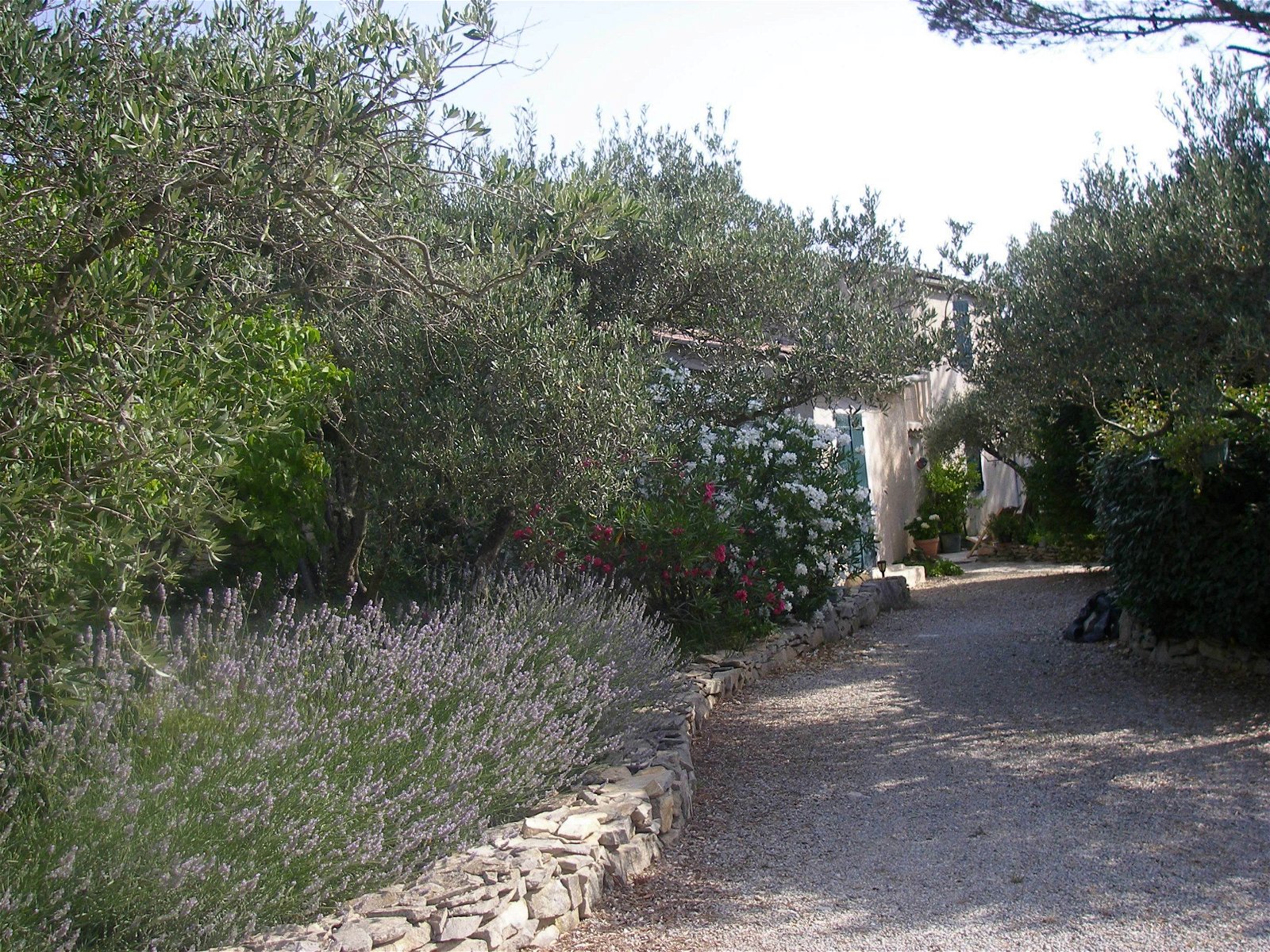 Hemvistelse Nîmes 127123