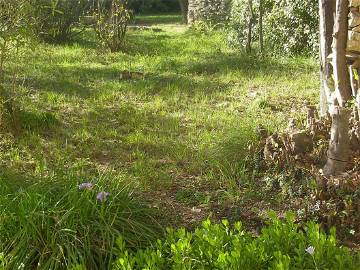 Homestay Nîmes 127123-6