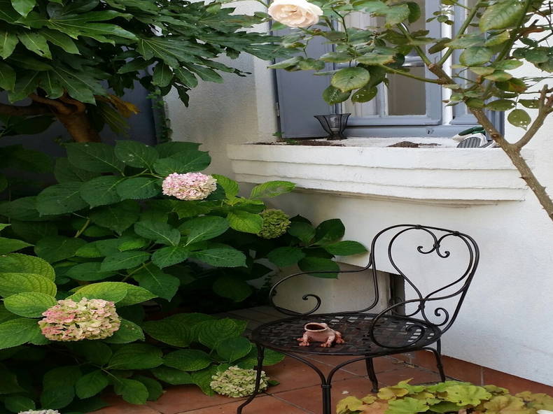 Gastfamilie Malakoff 188011-3