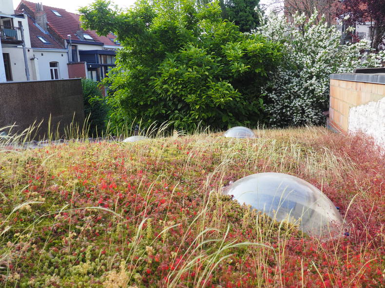 Colocation Etterbeek 267819-4