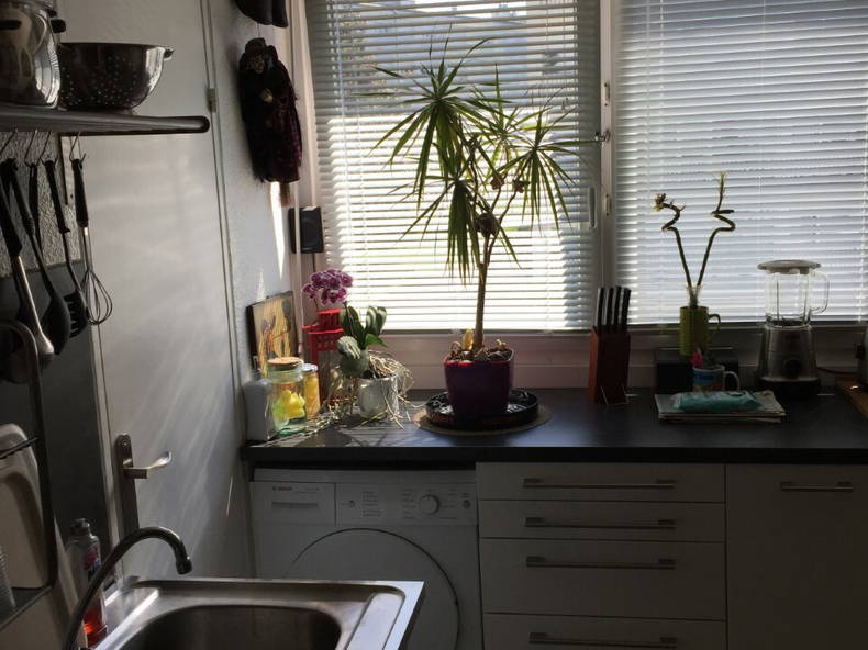 Homestay Vélizy-Villacoublay 237015-4