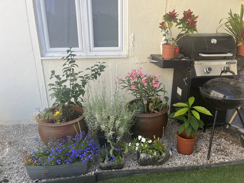 Kolokation Athis-Mons 256998-2