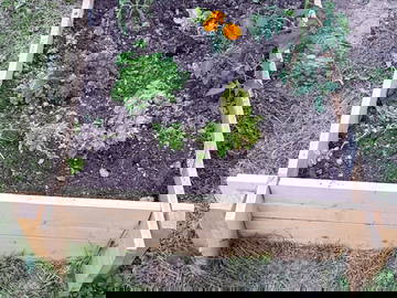 Homestay Vernier 652804-6