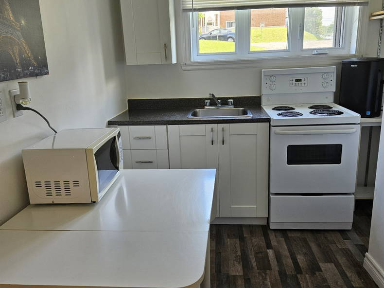 Kolokasie Quebec City 577870-2