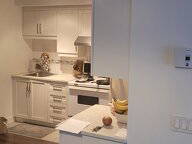 Colocation Montréal 268322-4