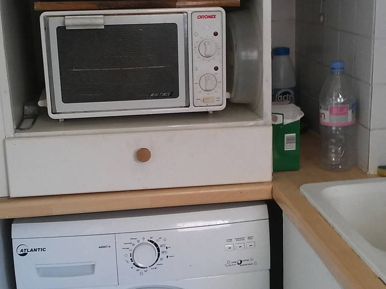 Kolokasie Cagnes-sur-Mer 150818-2