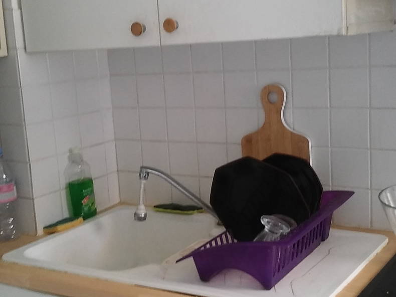 Kolokasie Cagnes-sur-Mer 150818-3