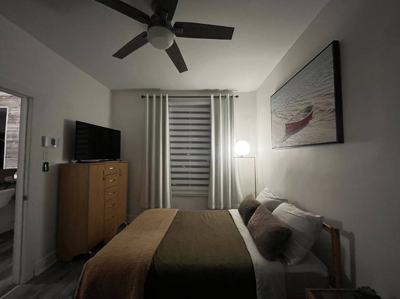 Kolokasie Montreal 645292-2