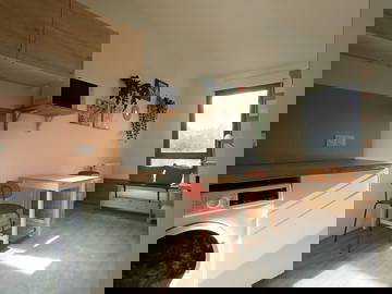 Colocation Stains 459033-6