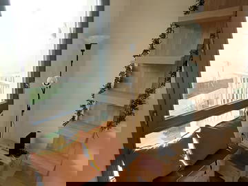 Colocation Stains 459033-7