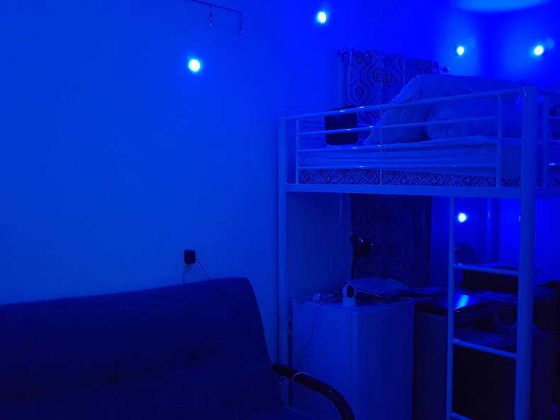 Colocation Montréal 245997-3