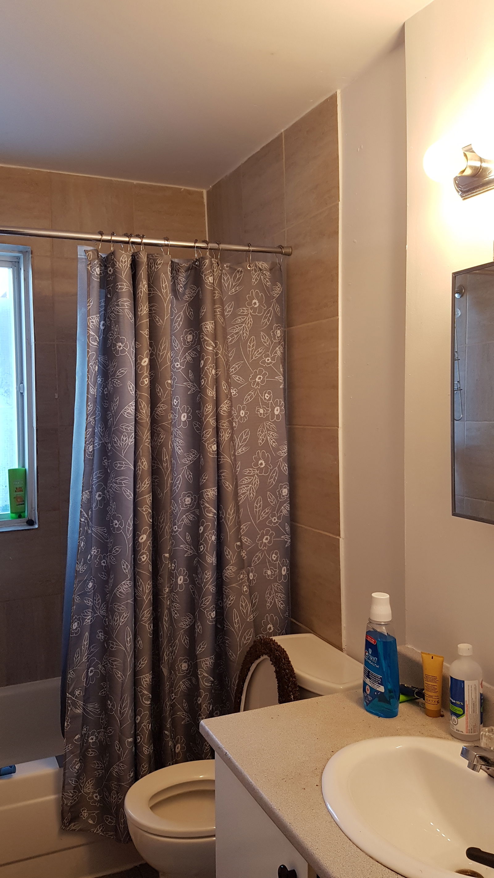 Colocation Montréal 245997