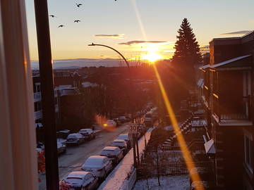 Colocation Montréal 245997-11