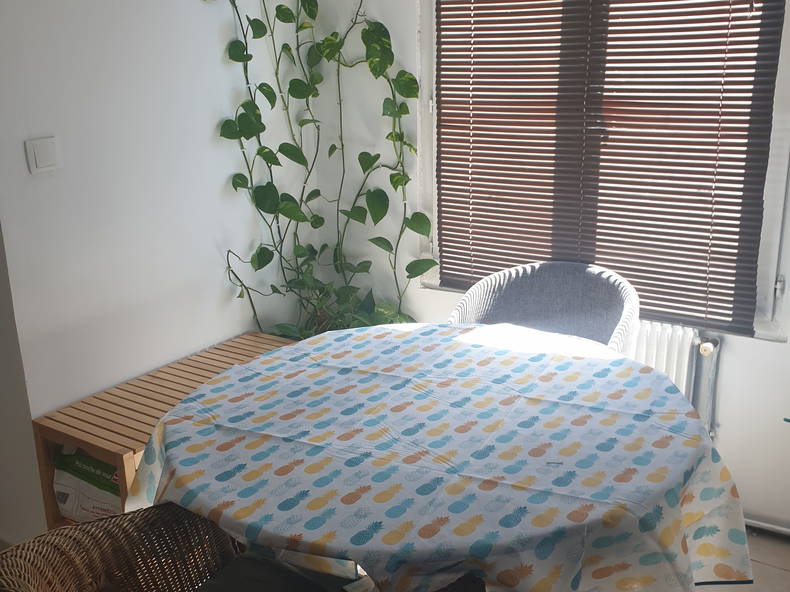 Homestay Choisy-le-Roi 260787-3