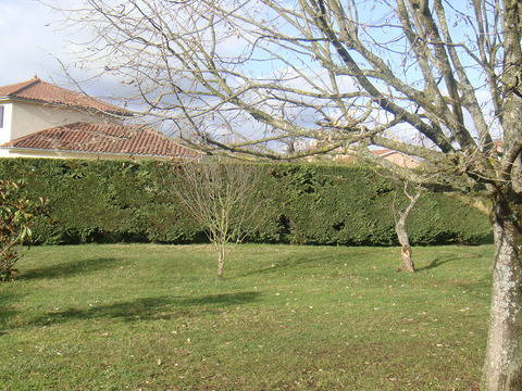 Homestay Lyon 19049-2