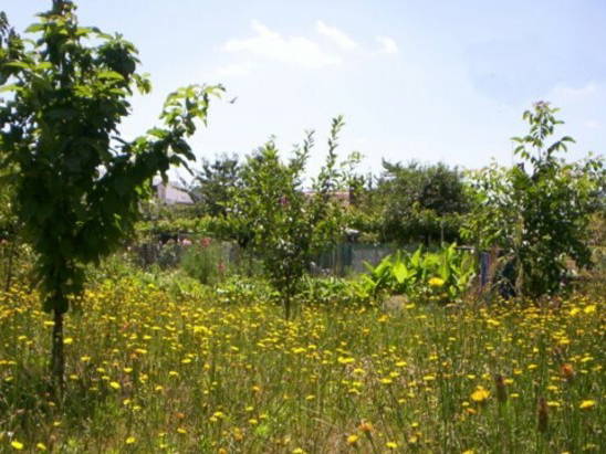 Gastgezin Saint-Pierre-des-Corps 21372-1