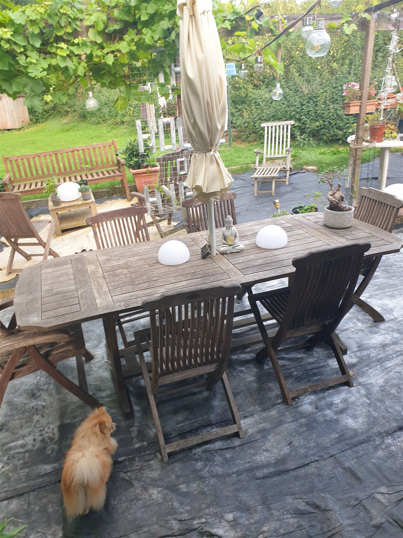 Gastfamilie Beauvechain 260665