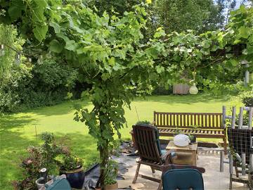 Chambre Chez L'habitant Beauvechain 260666-9