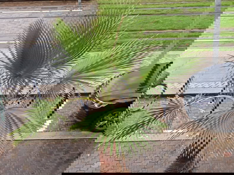 Kolokation Bordeaux 425607-2