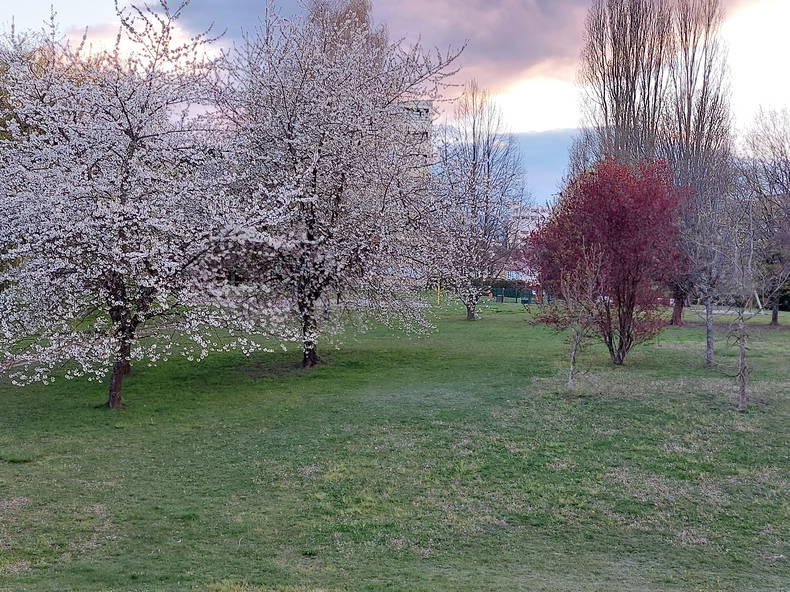 Collocazione Ferney-Voltaire 643848-4