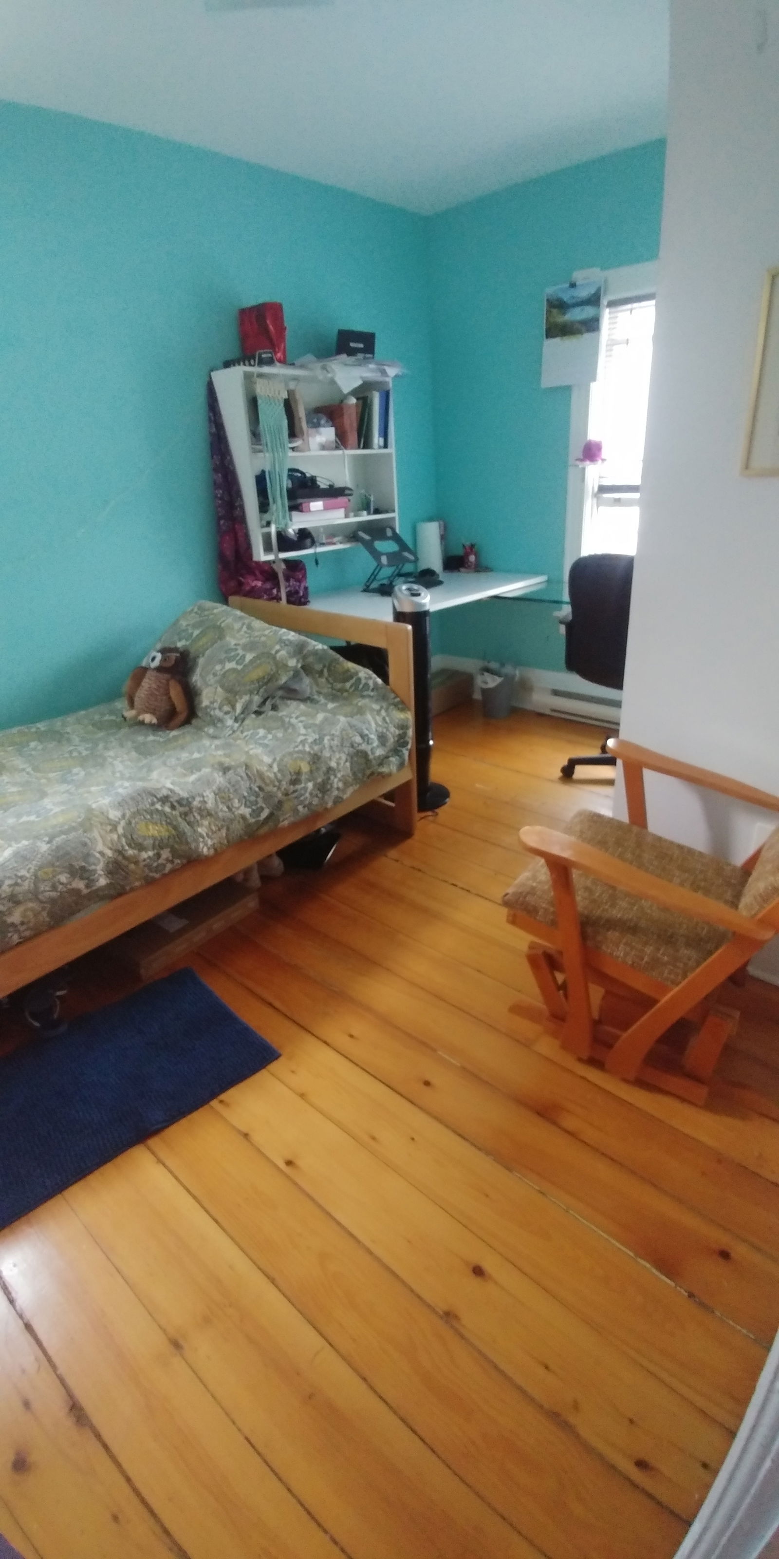 Colocation Sherbrooke 254387
