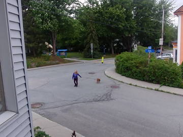 Colocation Sherbrooke 254387-6