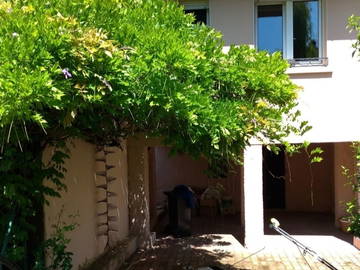 Colocation à louer à Thionville - jardin-5