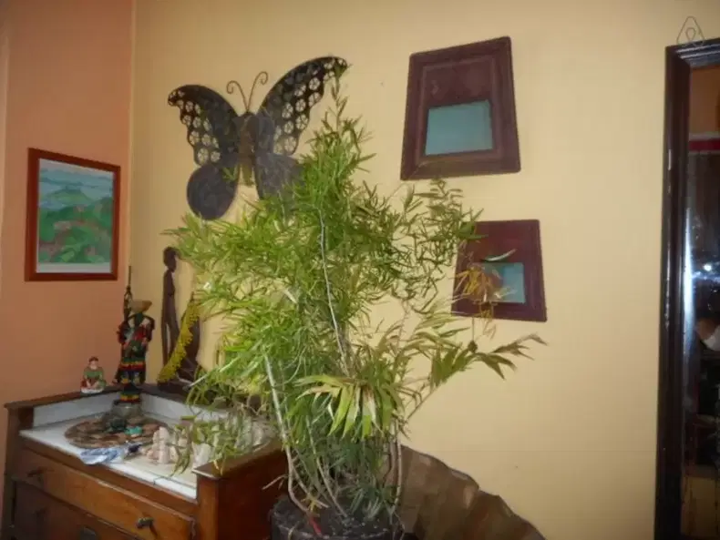 Collocazione Schaerbeek 387634-4