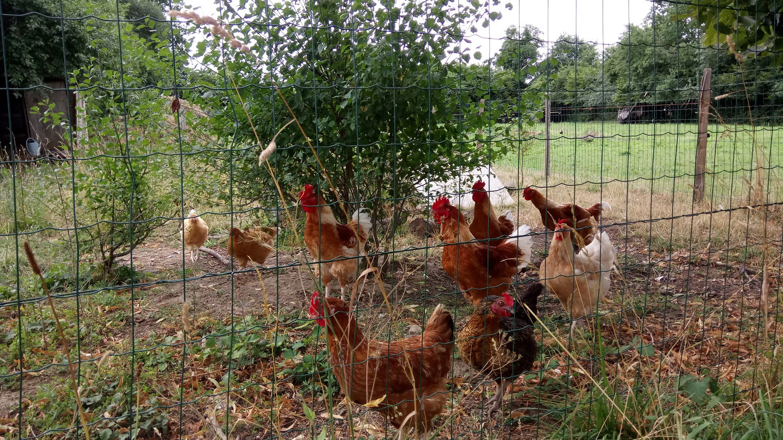 Chambre Chez L'habitant Bonnat 223241