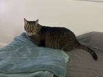 Gastfamilie Vichy 629176