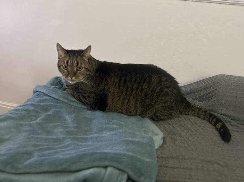 Gastfamilie Vichy 629176-1