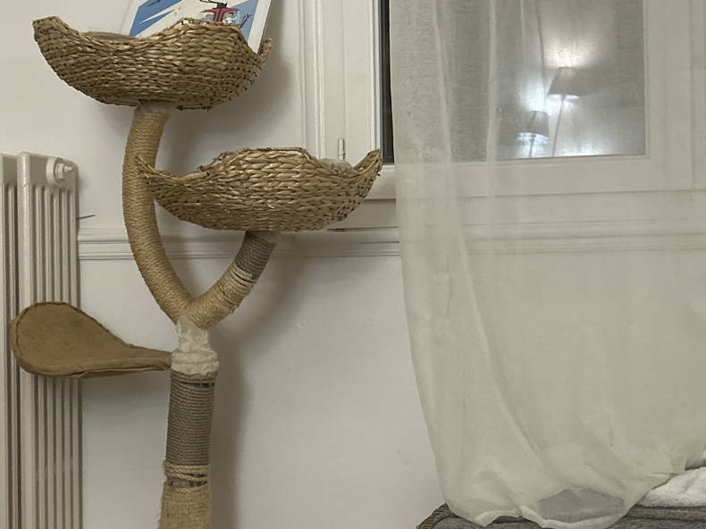 Gastfamilie Vichy 629176-2