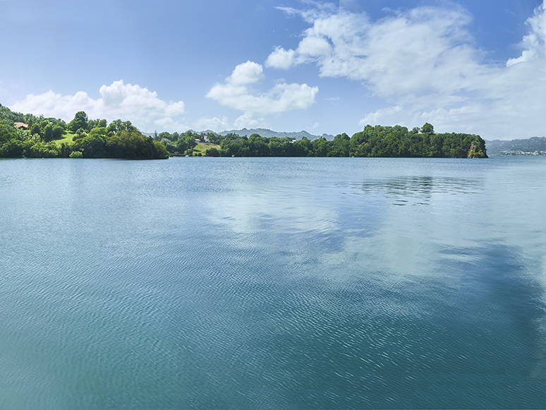 Homestay Le Robert 251596-2