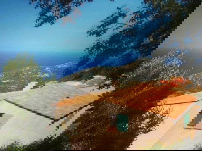 Chambre Chez L'habitant Monticello 268311-1