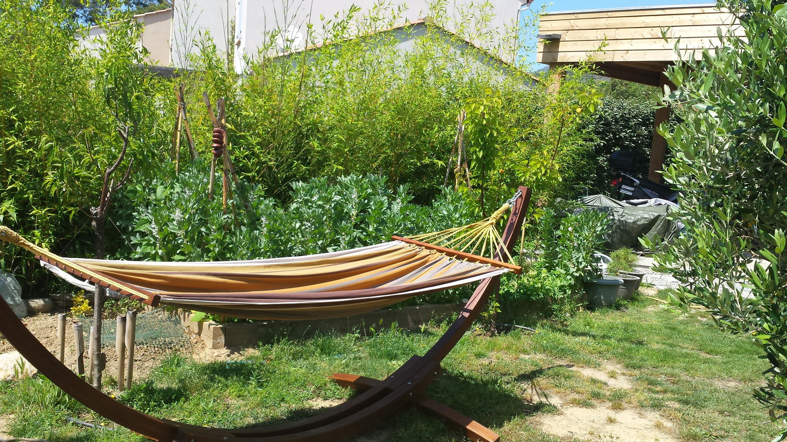 Hospedagem Em Casa De Família Patrimonio 194276