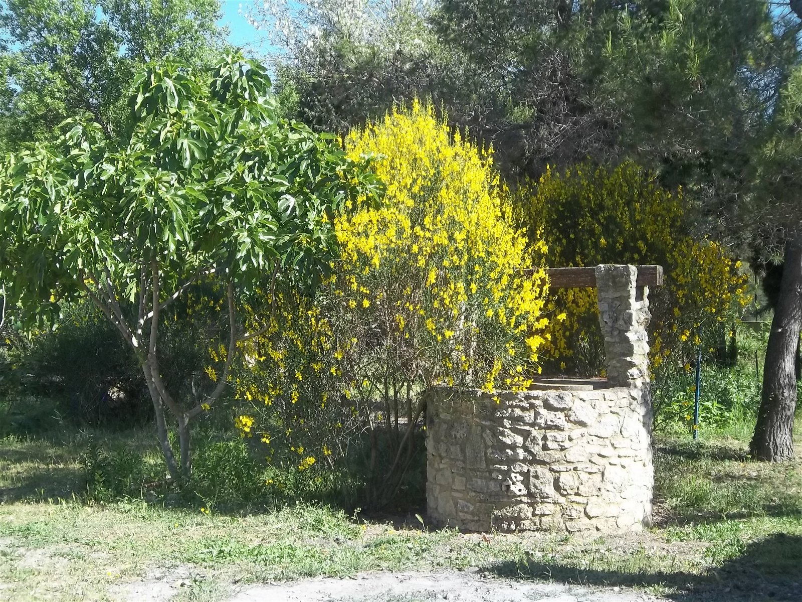 Quartos De Hóspedes Saze 166345