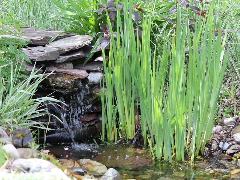 Homestay Matane 36540-4