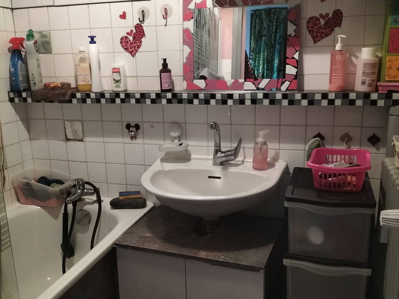 Homestay Lyon 77511-4