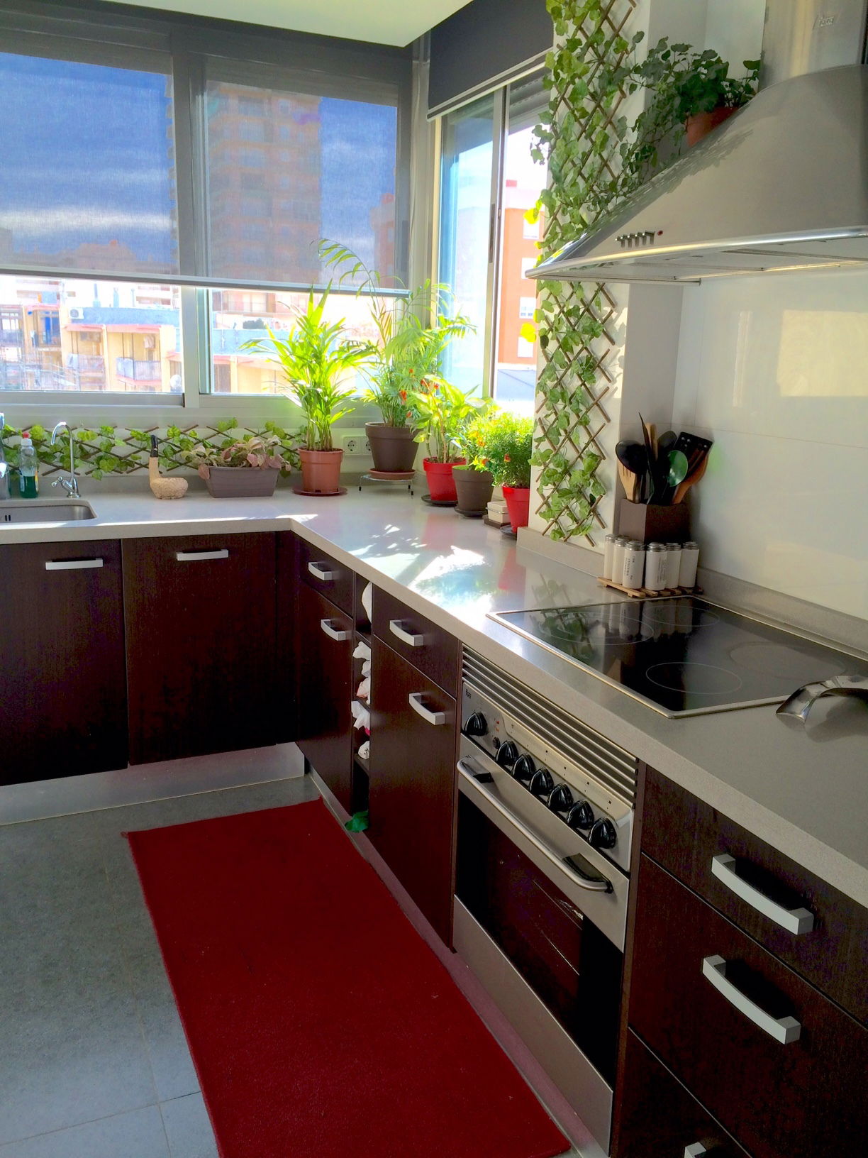 Colocation Arenals del Sol 122402