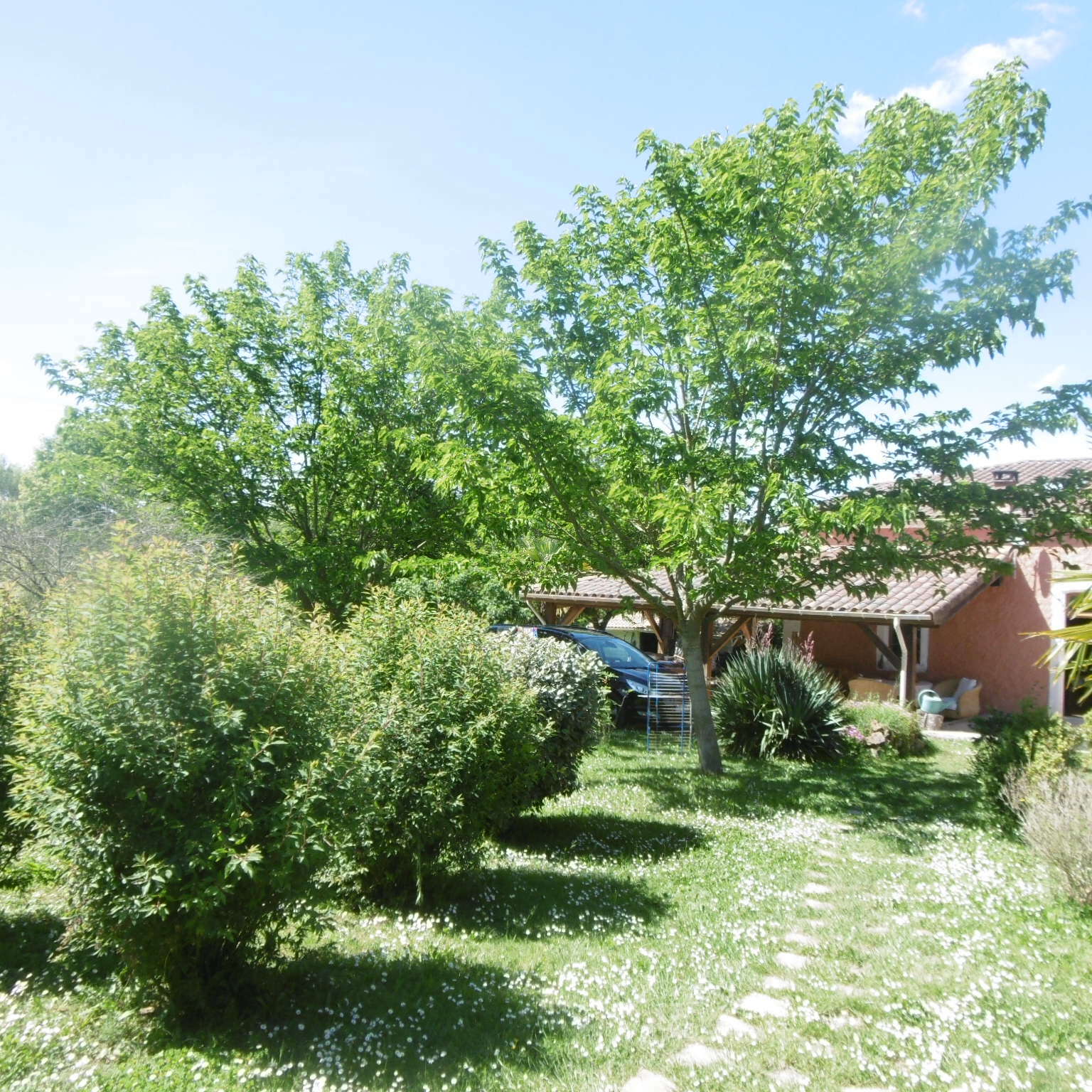 Hospedagem Em Casa De Família Castaignos-Souslens 167643