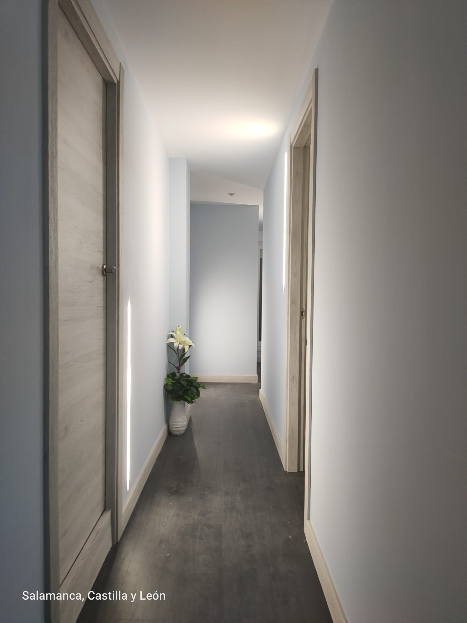 Colocation Salamanca 266719