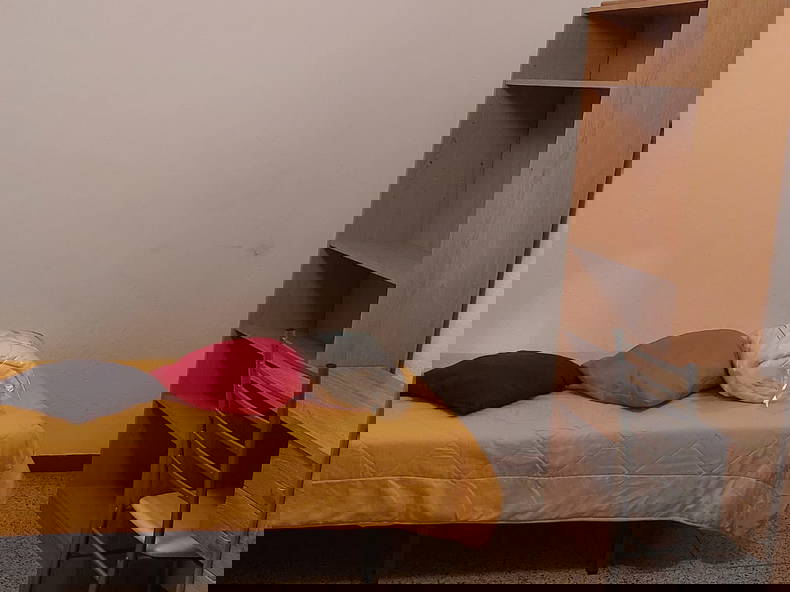 Colocation Sant Vicent del Raspeig 427495-5