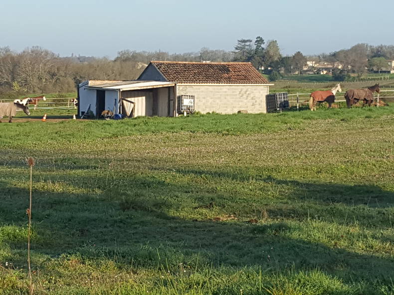 Quedarse En Casa Lugon-et-l'Île-du-Carnay 566952-4
