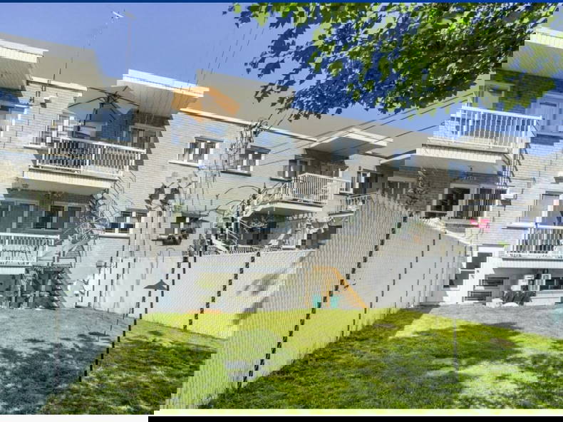 Kolokasie Montréal 636814-3