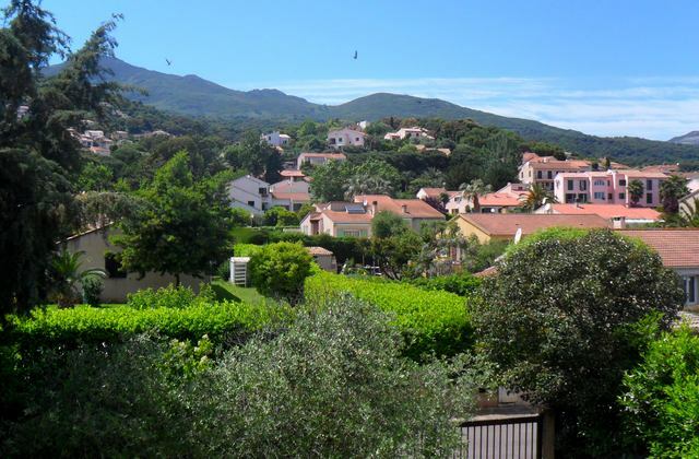 Chambre Chez L'habitant Furiani 60531
