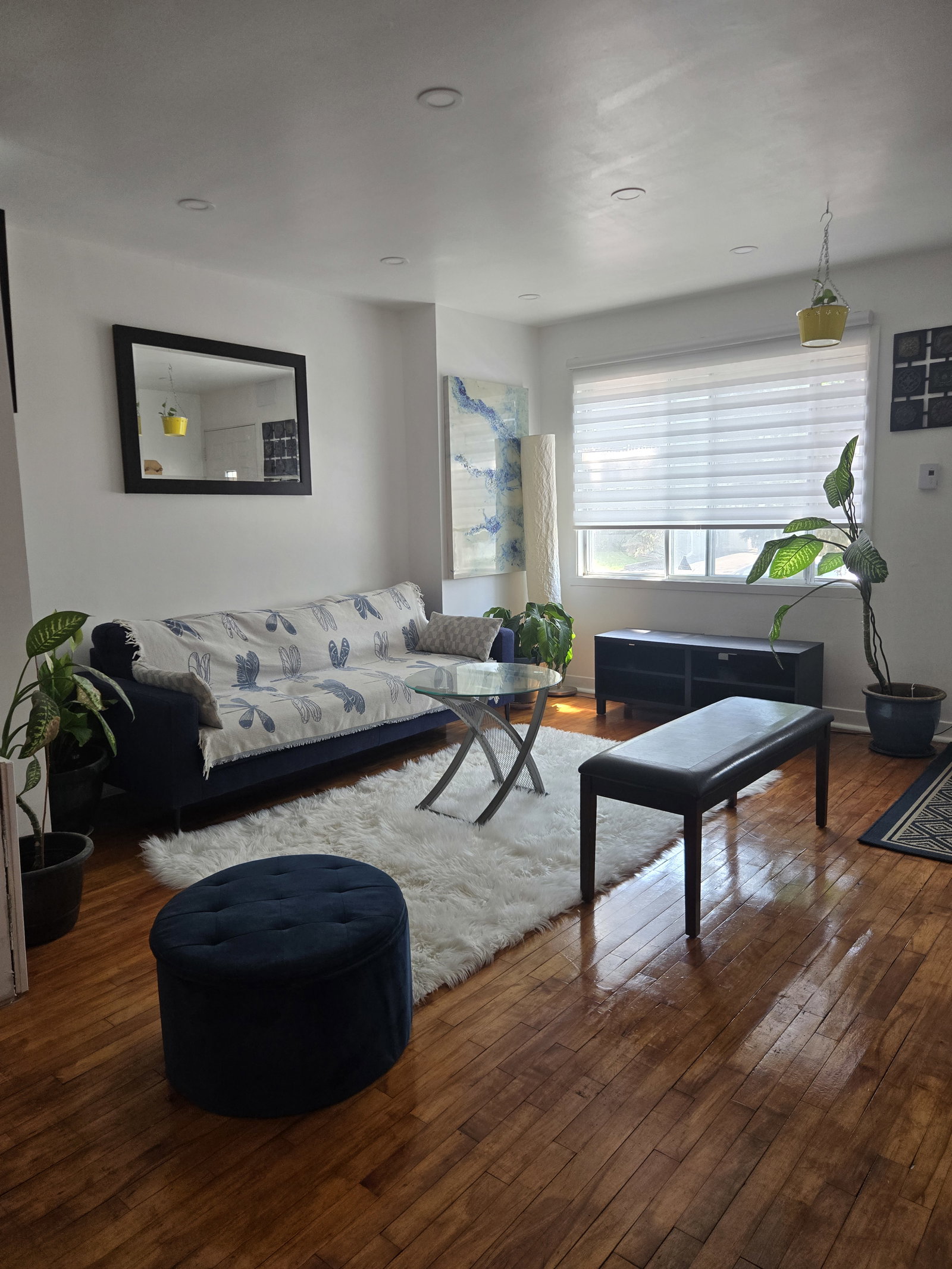 Colocation Longueuil 670154