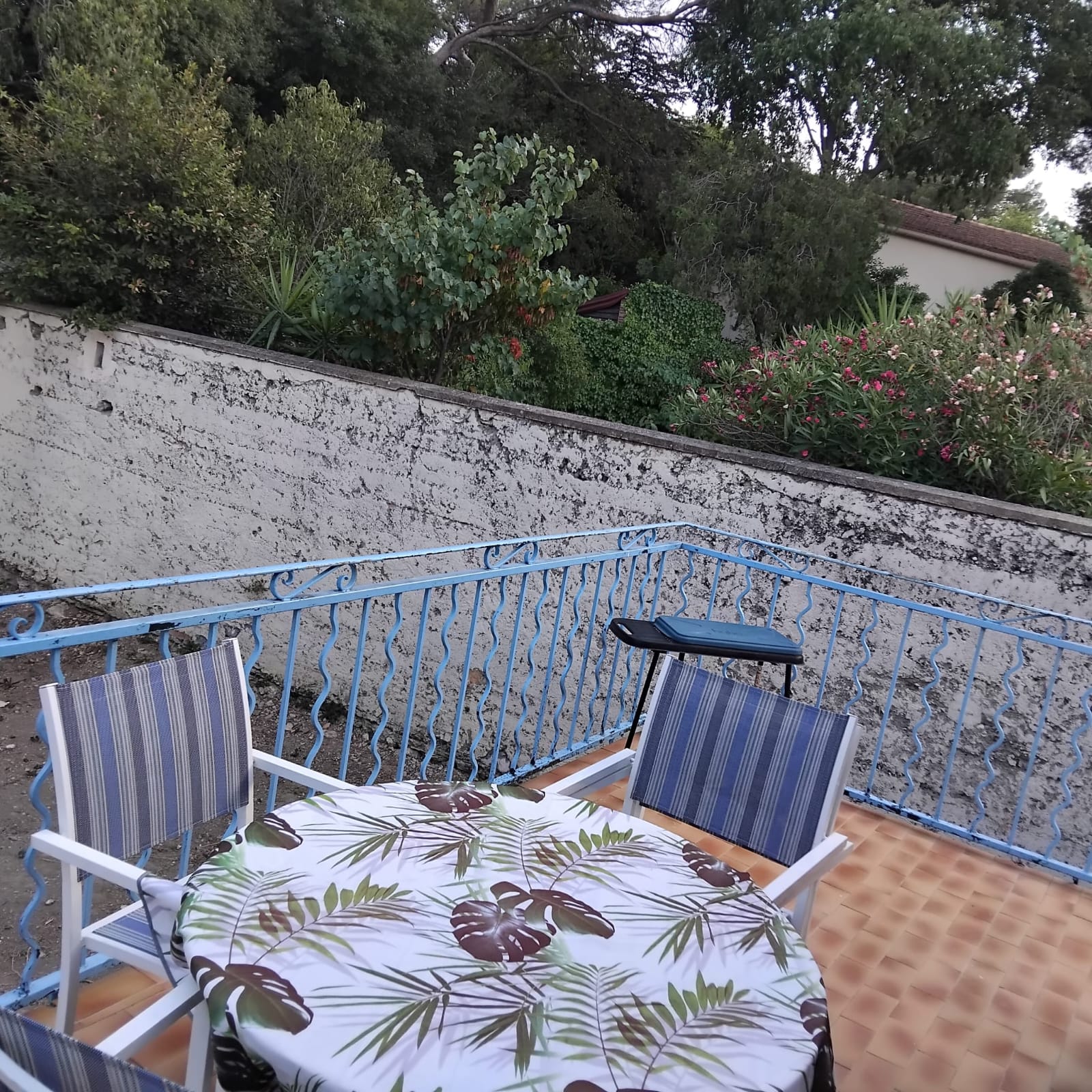 Colocation Nîmes 675986