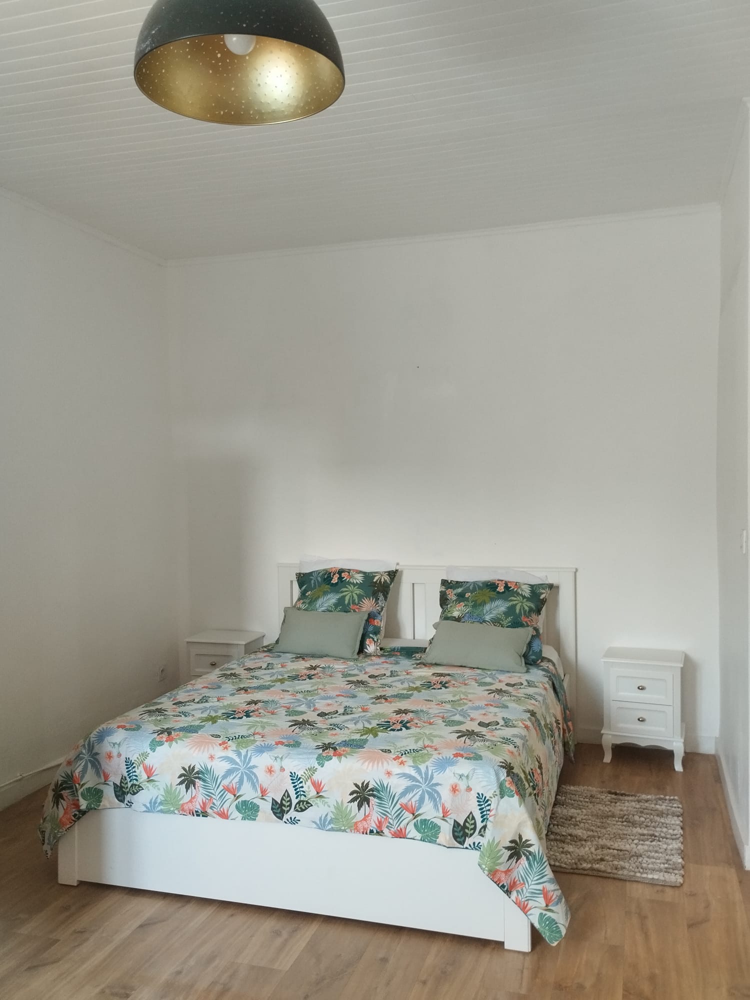 Colocation Nîmes 675987